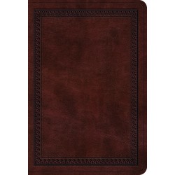 ESV Value Large Print...