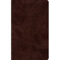 ESV Thinline Bible-Espress...