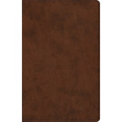 ESV Premium Gift...