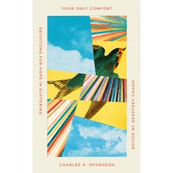 Your Only Comfort (Old Made...