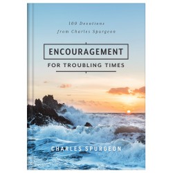 Encouragement For Troubling...