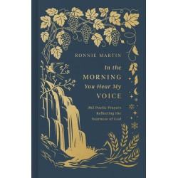 In The Morning You Hear My...