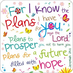 Coaster-I Know the Plans...