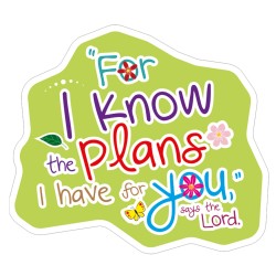 Sticker-I know the plans...