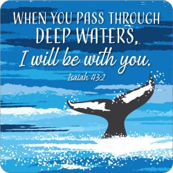 Coaster-I Will Be With You...