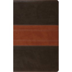 ESV Giant Print Personal...