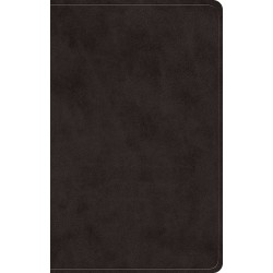 ESV Giant Print Value...