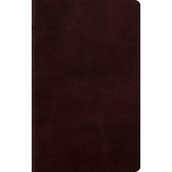 ESV Giant Print Personal...