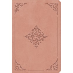 ESV Holy Bible For Kids...