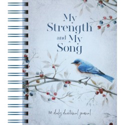 My Strength And My Song