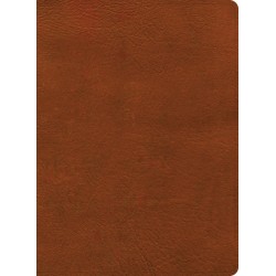 NASB 2020 Study Bible-Burnt...