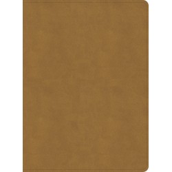 NASB 2020 Study Bible-Camel...