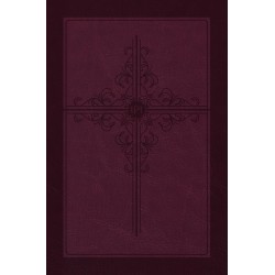 The Passion Translation New...