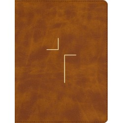 NIV The Jesus Bible...