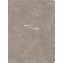 ESV The Jesus Bible-Stone...