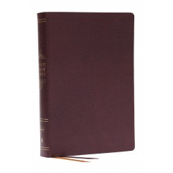 NKJV Peace Of God Bible...