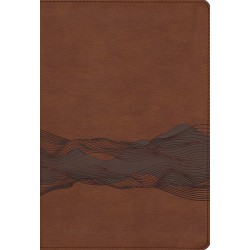 NIV Timeline Bible (Comfort...