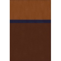 NIV Study Bible/Personal...