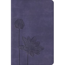 ESV Compact Bible-Lavender...
