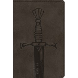 ESV Compact Bible-Silver...