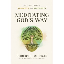 Meditating God's Way