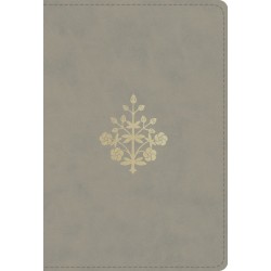 ESV Compact Bible*-Stone...