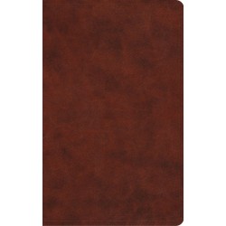 ESV Vest Pocket New...