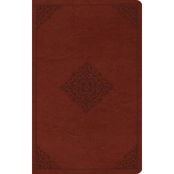 ESV Large Print Value...