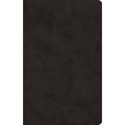 ESV Large Print Value...