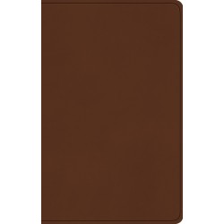 ESV Large Print Value...