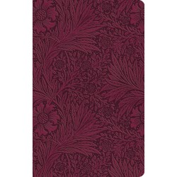 ESV Large Print Value...