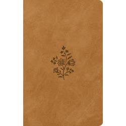 ESV Large Print Value...