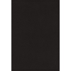 NIV Application Bible...