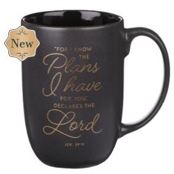 Mug Black I Know the Plans...