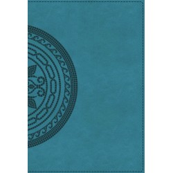 NIV Application Bible...