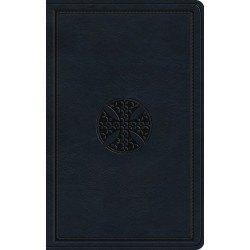 ESV Large Print Value...