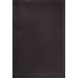 NIV Application Bible...