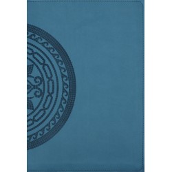 NIV Application Bible...