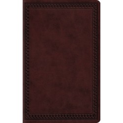 ESV Large Print Value...