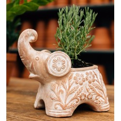 Trumpeting Elephant Planter
