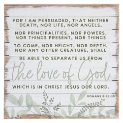 Perfect Pallet-Love Of God...