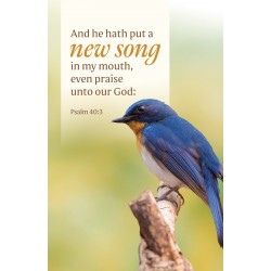 Bulletin-And He Hath Put A...