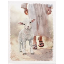 Wrapped Canvas-Lamb Walking...