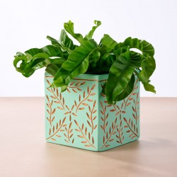 Tila Terracotta Debossed...