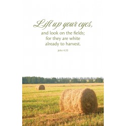 Bulletin-Lift Up Your Eyes...