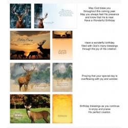 Card-Boxed-Shared...