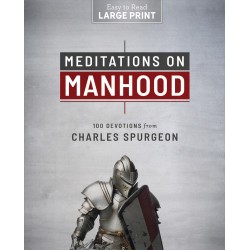Meditations On Manhood...