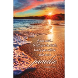 Bulletin-Today You Will Be...