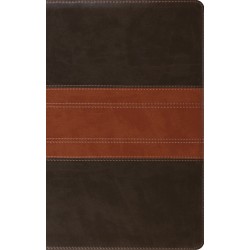 ESV Large Print Personal...